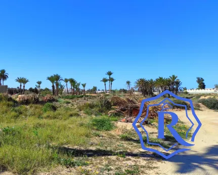 Terrain les palmiers titre bleu à 300 m de la plage image-1