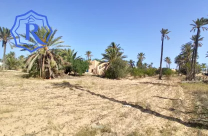 Ancienne demeure avec fermes et puit d'eau titre bleu à vendre à Midoun Djerba