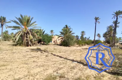 Ancienne demeure avec fermes et puit d'eau titre bleu à vendre à Midoun Djerba