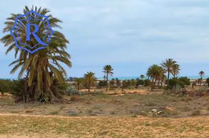 Terrain première position, vue mer, titre bleu et permis de bâtir a vendre Djerba