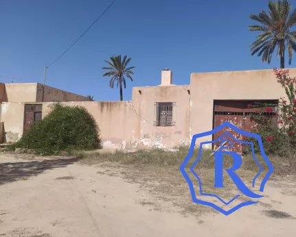 Ancienne demeure avec fermes et puit d'eau titre bleu à vendre à Midoun Djerba image-4