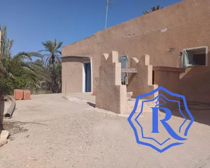 Ancienne demeure avec fermes et puit d'eau titre bleu à vendre à Midoun Djerba image-17