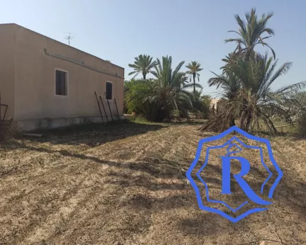 Ancienne demeure avec fermes et puit d'eau titre bleu à vendre à Midoun Djerba image-13