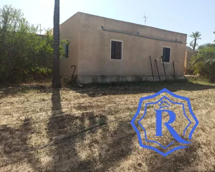 Ancienne demeure avec fermes et puit d'eau titre bleu à vendre à Midoun Djerba image-12
