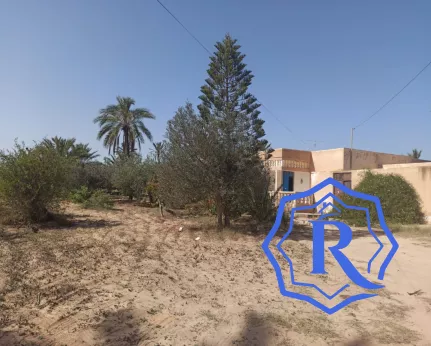 Ancienne demeure avec fermes et puit d'eau titre bleu à vendre à Midoun Djerba image-10