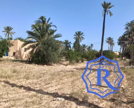 Ancienne demeure avec fermes et puit d'eau titre bleu à vendre à Midoun Djerba image-18
