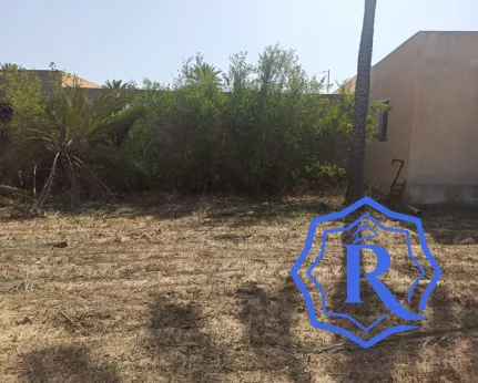Ancienne demeure avec fermes et puit d'eau titre bleu à vendre à Midoun Djerba image-11