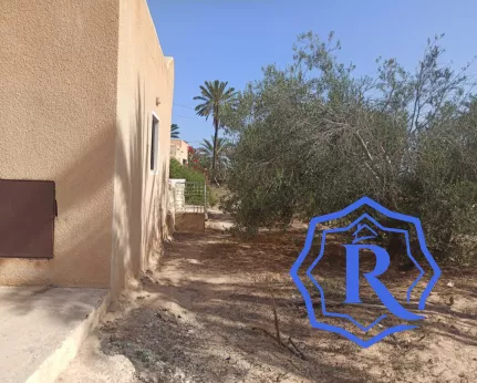 Ancienne demeure avec fermes et puit d'eau titre bleu à vendre à Midoun Djerba image-15