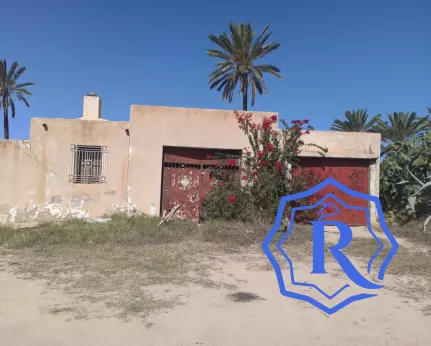 Ancienne demeure avec fermes et puit d'eau titre bleu à vendre à Midoun Djerba image-3