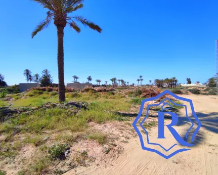 Terrain les palmiers titre bleu à 300 m de la plage image-3
