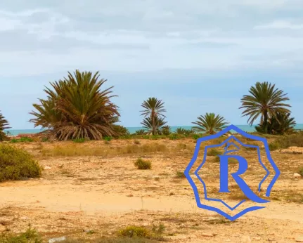 Terrain première position, vue mer, titre bleu et permis de bâtir a vendre Djerba image-4