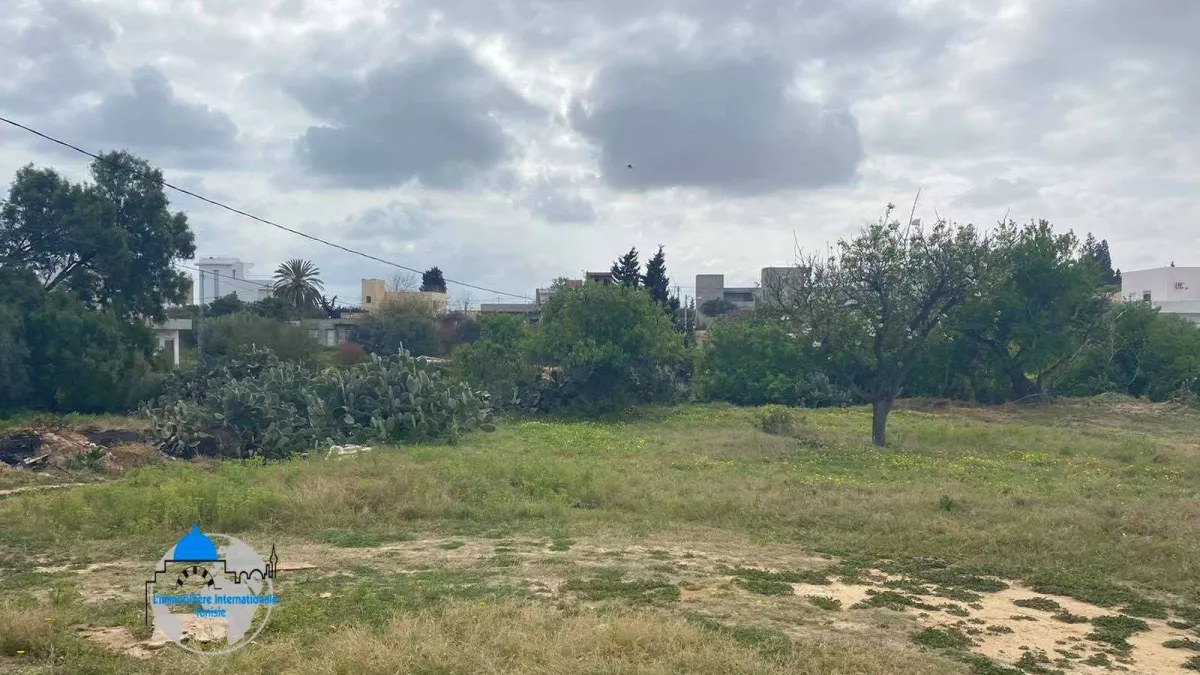 Eccezionale Opportunità di Investimento: Terreno di 910m² a Ksour Gharnata
