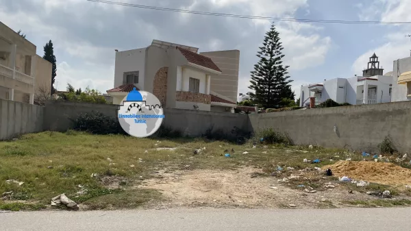 Eccezionale Opportunità di Investimento