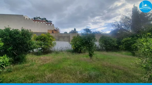 Exceptional Land Opportunity in Hammamet