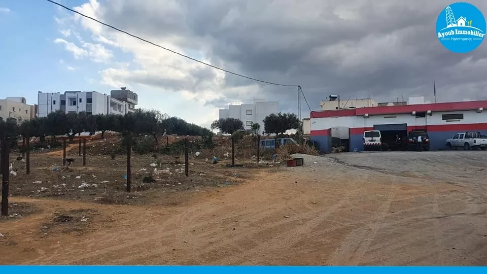 Mouna Land: An Exceptional Opportunity in Hammamet