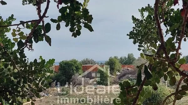 Exclusive Land for Sale in Hammamet Nord