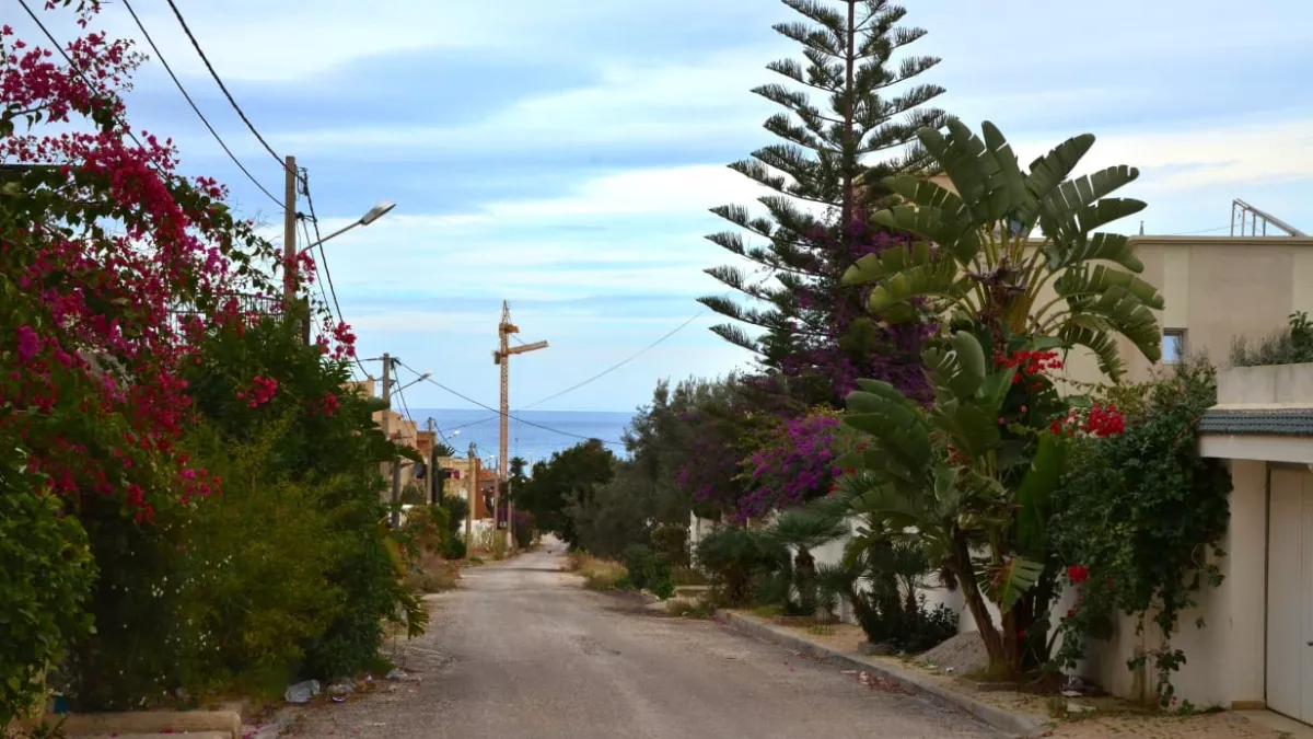 Beautiful Plot for Sale in Chot Meriem