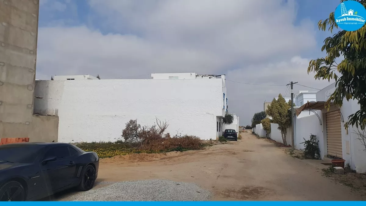 Introduction to a Dream Location