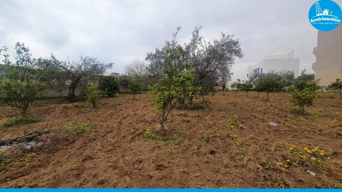 فرصة استثنائية للشراء في نابل: قطعة أرض نوفل