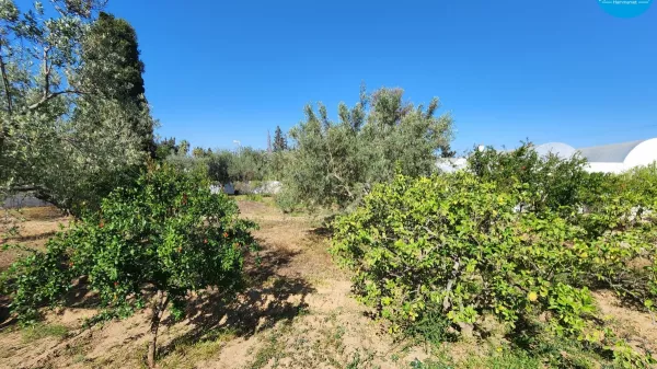 Unique Land Opportunity in Hammamet