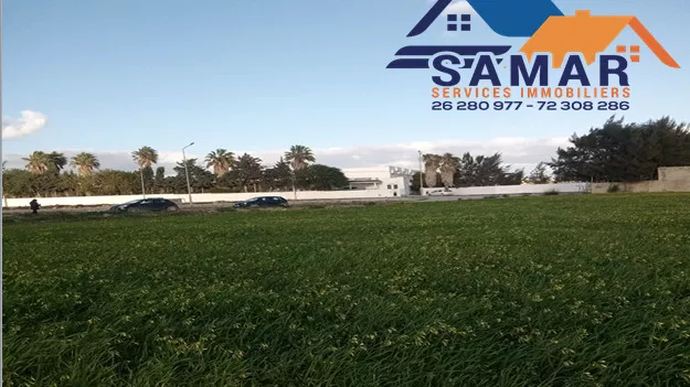 قطعَة استثنائية 1880 م² في قلبية، نابل: فرصة فريدة!