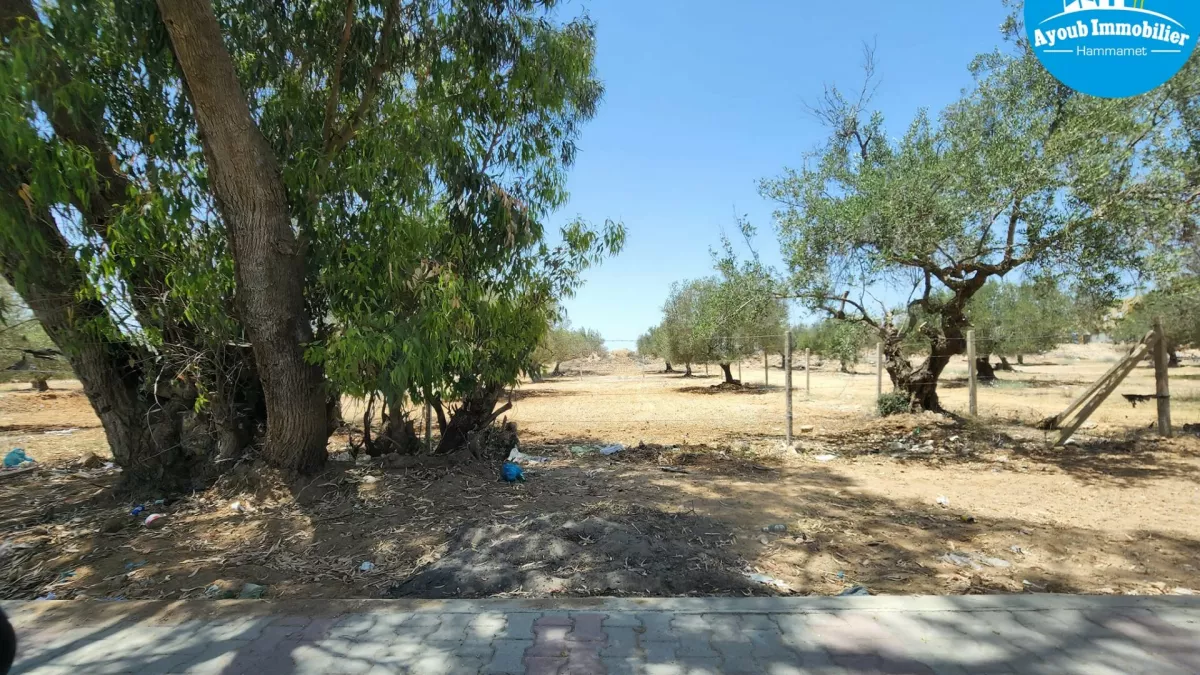 Introduction to Mazda 2 Land