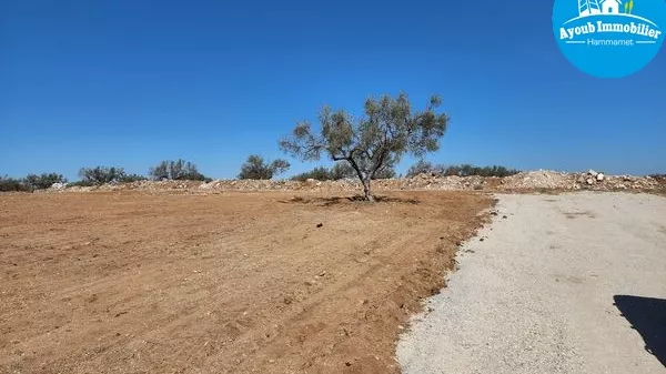 أرض مازدا: فرصة استثمار مثالية في الحمامات