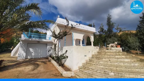 Dream Home in Hammamet - A Peaceful Oasis
