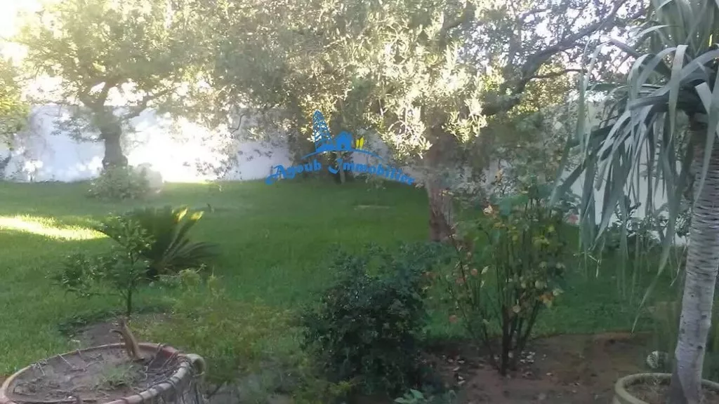 بيئة معيشية استثنائية