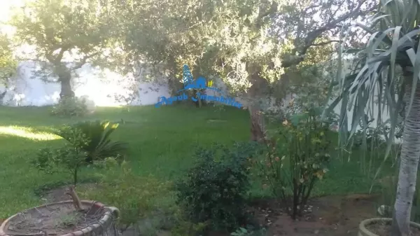 An Exceptional Living Environment