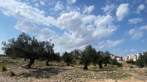 Exceptional Land for Sale between City Olympique and Sahloul in Sousse