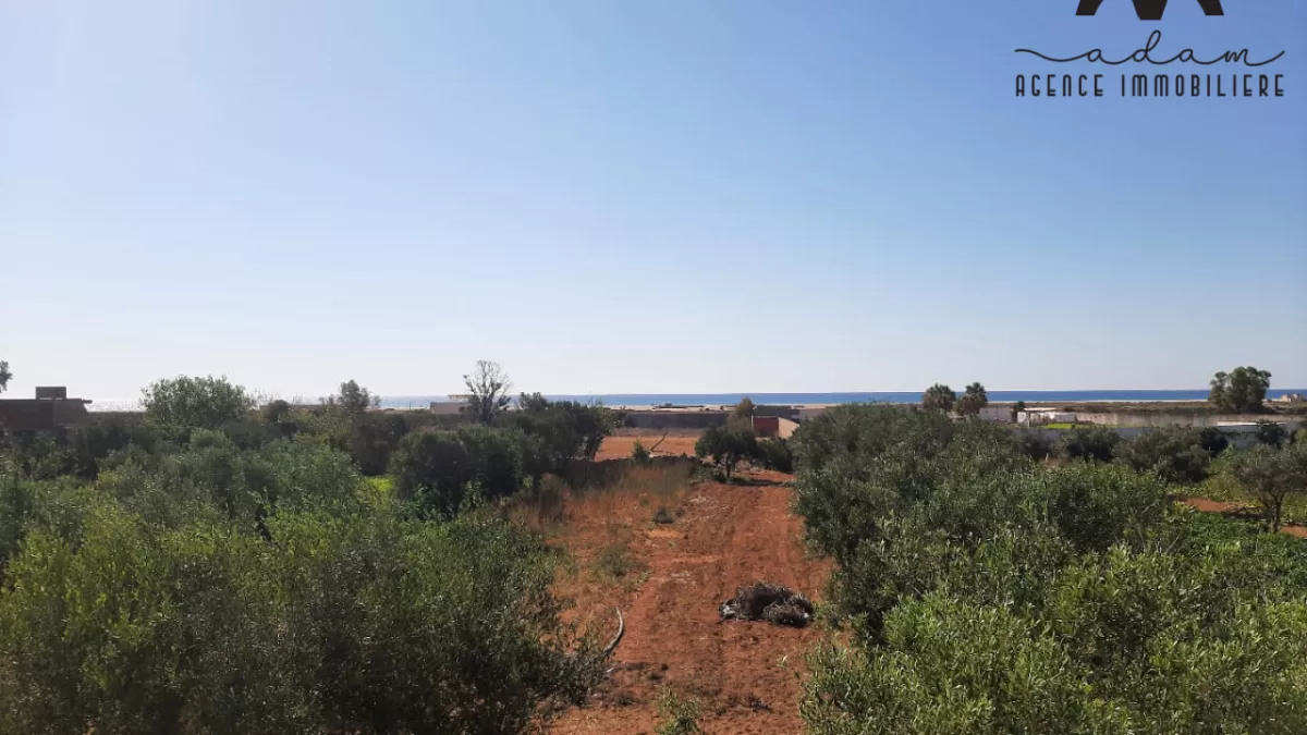 فرصة استثنائية لشراء أرض فلاحية في منطقة داروفة، نابل