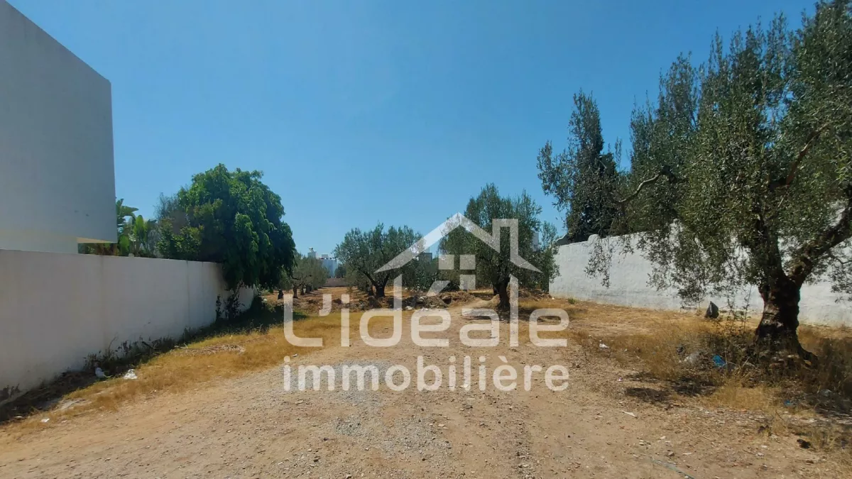 Eccezionale Opportunità di Terreno a Hammamet Nord