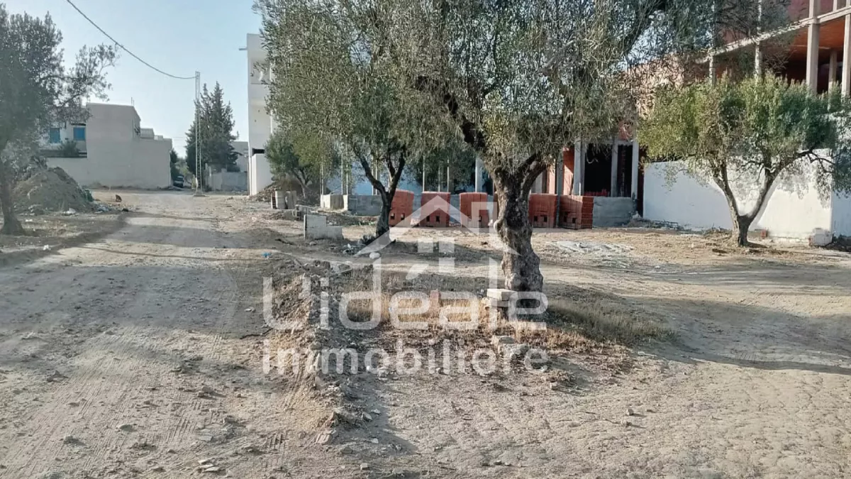 فرصة استثمارية مثالية: أرض الوحبة في حمنة الشمال