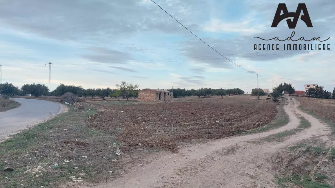 Exceptional 3000m² Agricultural Land in Talout, Korba: A Unique Opportunity