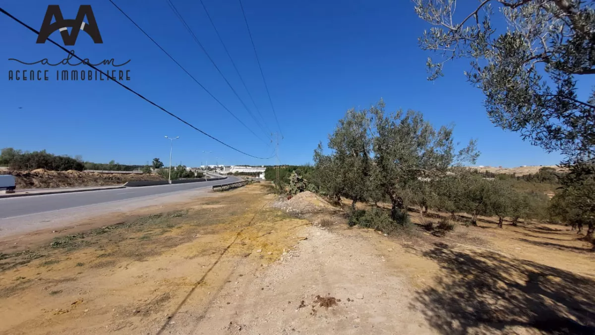 أرض صناعية للبيع: 28 هكتارًا على طريق تونس، نابل