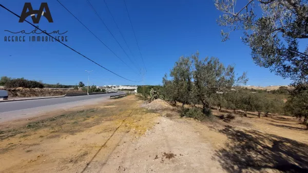 Industrial Land for Sale