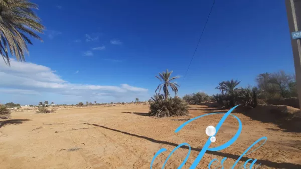 Exceptional Land for Sale in Sidi Jmour, Djerba