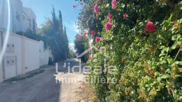 Exceptional Land Opportunity in Birbouregba, Hammamet