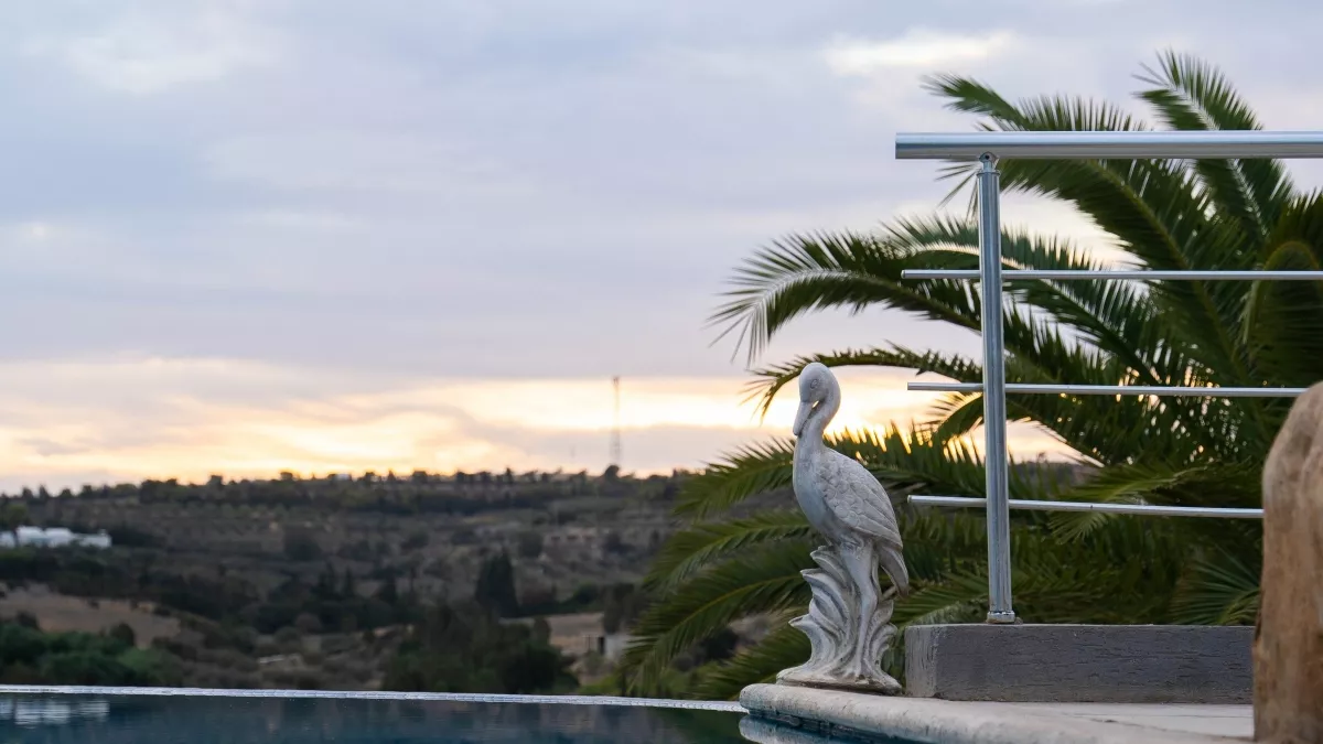 فيلا سكندر: جنة فاخرة في نابل