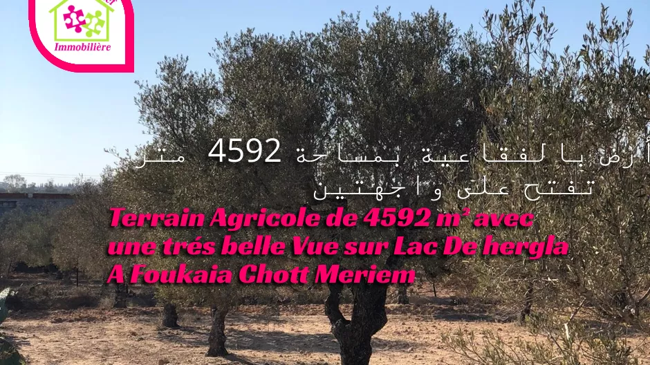 Agricultural Land of 4592 M² with a Beautiful View in Foukaia, Sousse