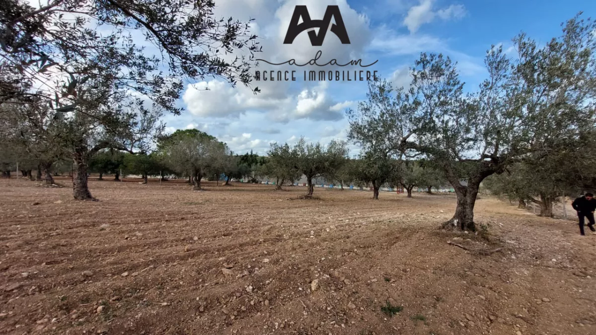 أرض زراعية فريدة بإطلالة بحرية خلّابة في منطقة الصمعة، نابل