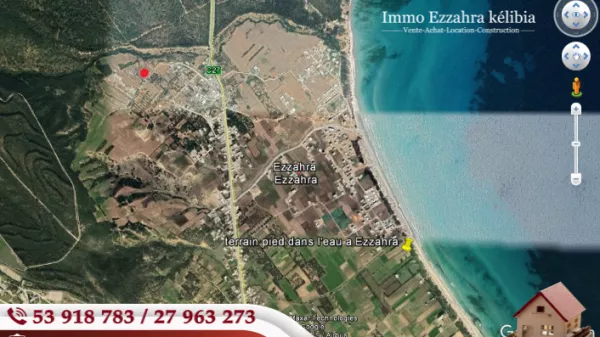 Your New Haven of Peace