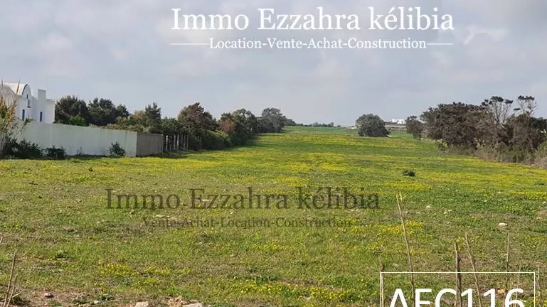 Discover the Charm of HAOUARIA with this Exceptional Land Plot