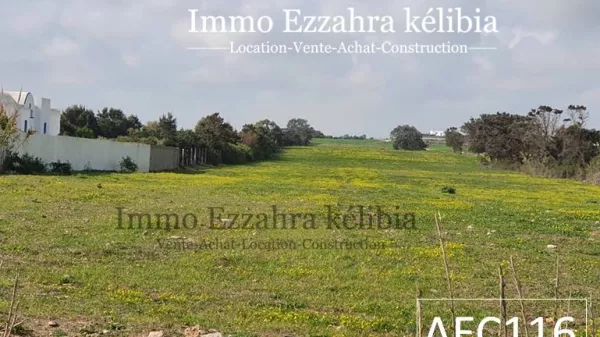 Discover the Charm of HAOUARIA with this Exceptional Land Plot