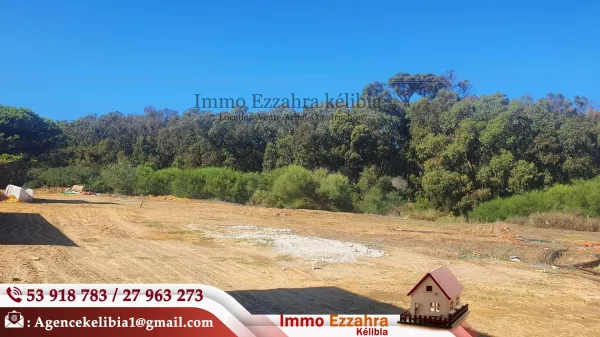 Exceptional Land for Sale in Nabeul - Close to the Sea!