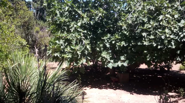 Luxury Villa for Sale in El Menzeh, Tunis - 2,200,000 TND