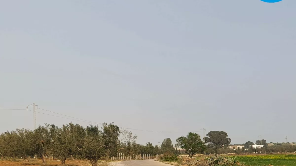 Einführung in eine Top-Lage