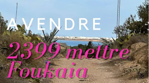 Exceptional Agricultural Land with Stunning Views in Foukaia Chatt Meriem