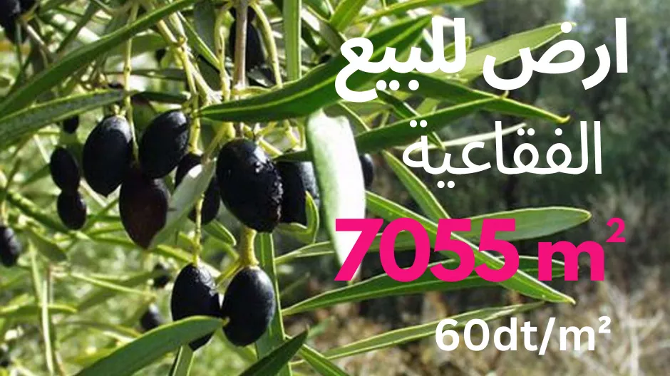 Opportunità Eccezionale: Acquisto di Terreno a Sousse